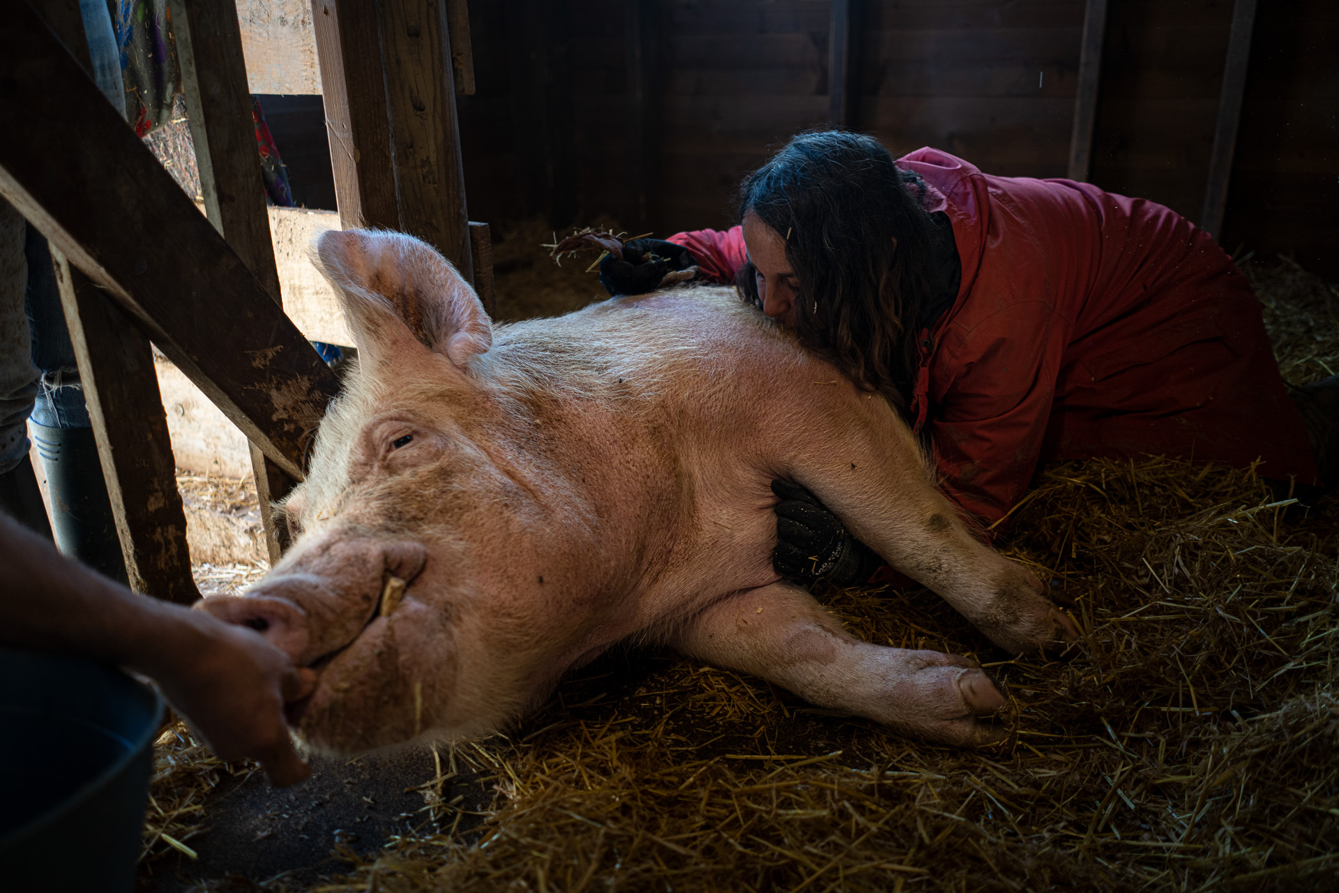 Foto Blog Destacat 2