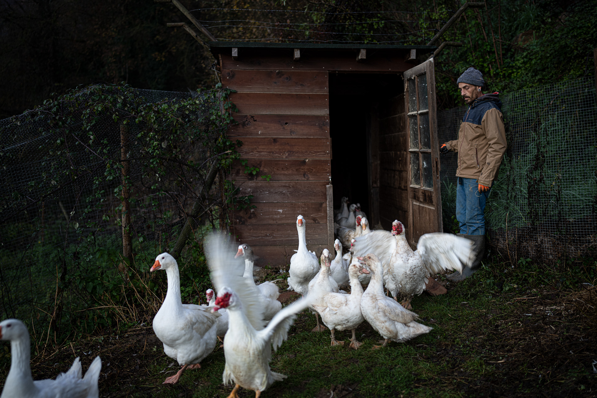 Foto Blog Destacat 4