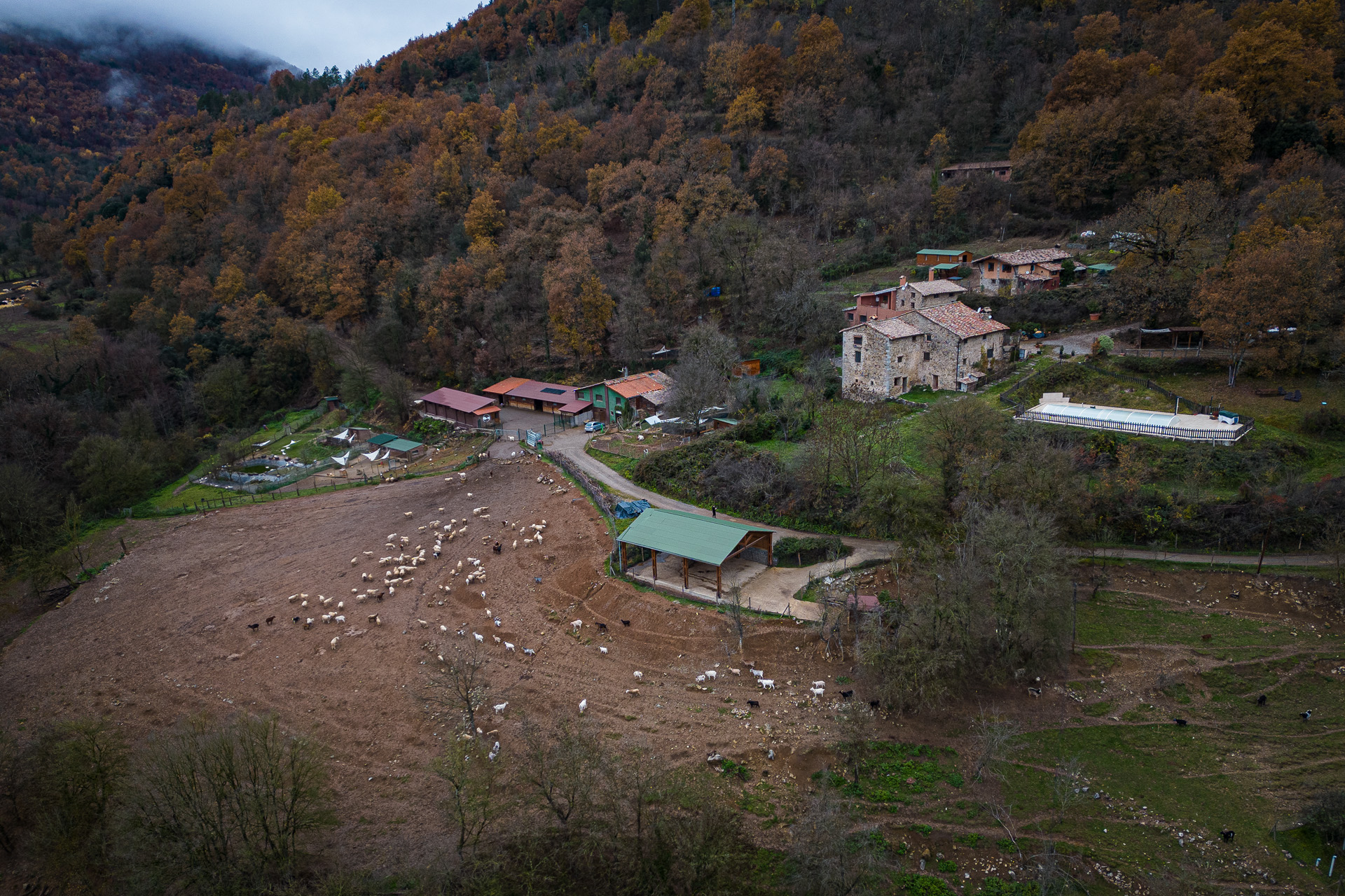 Foto Blog Destacat 3