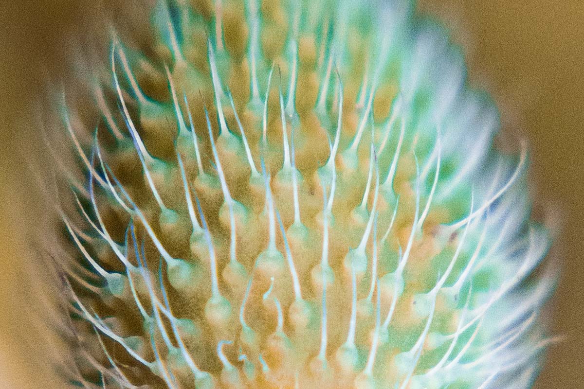 Foto Blog Destacat 2