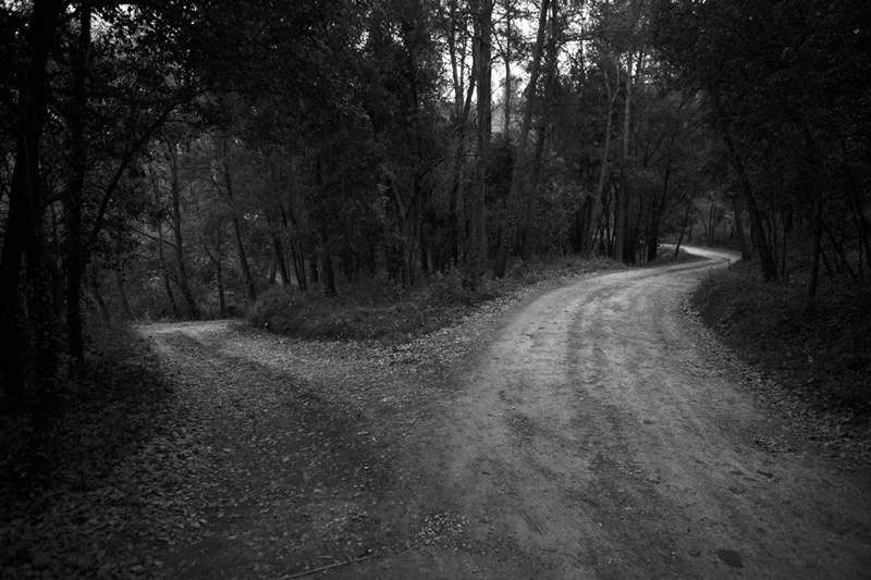 Foto Blog Destacat 3