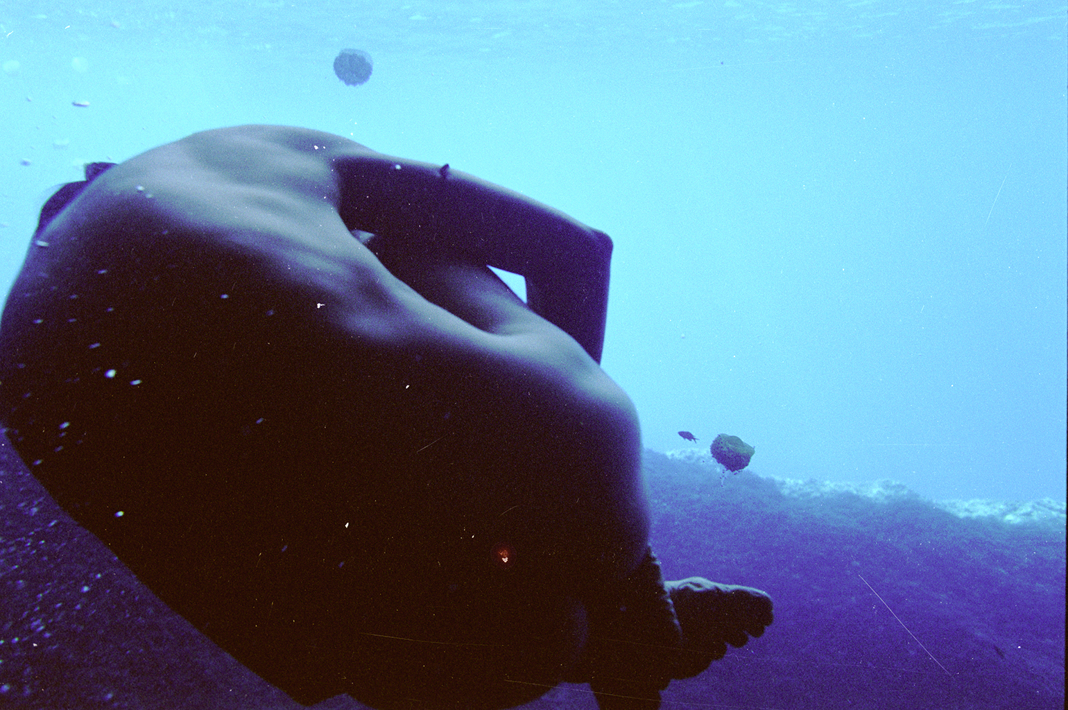 Foto Blog Destacat 4