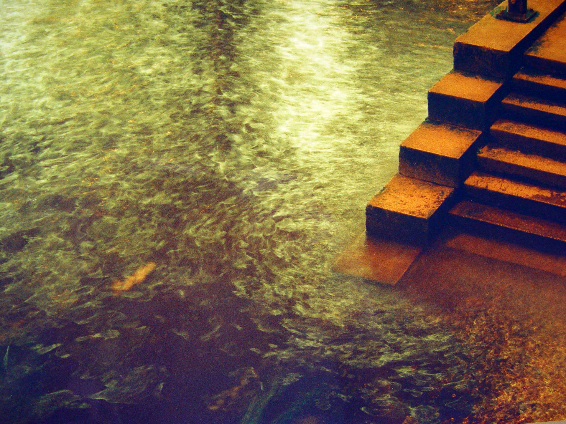 Foto Blog Destacat 4