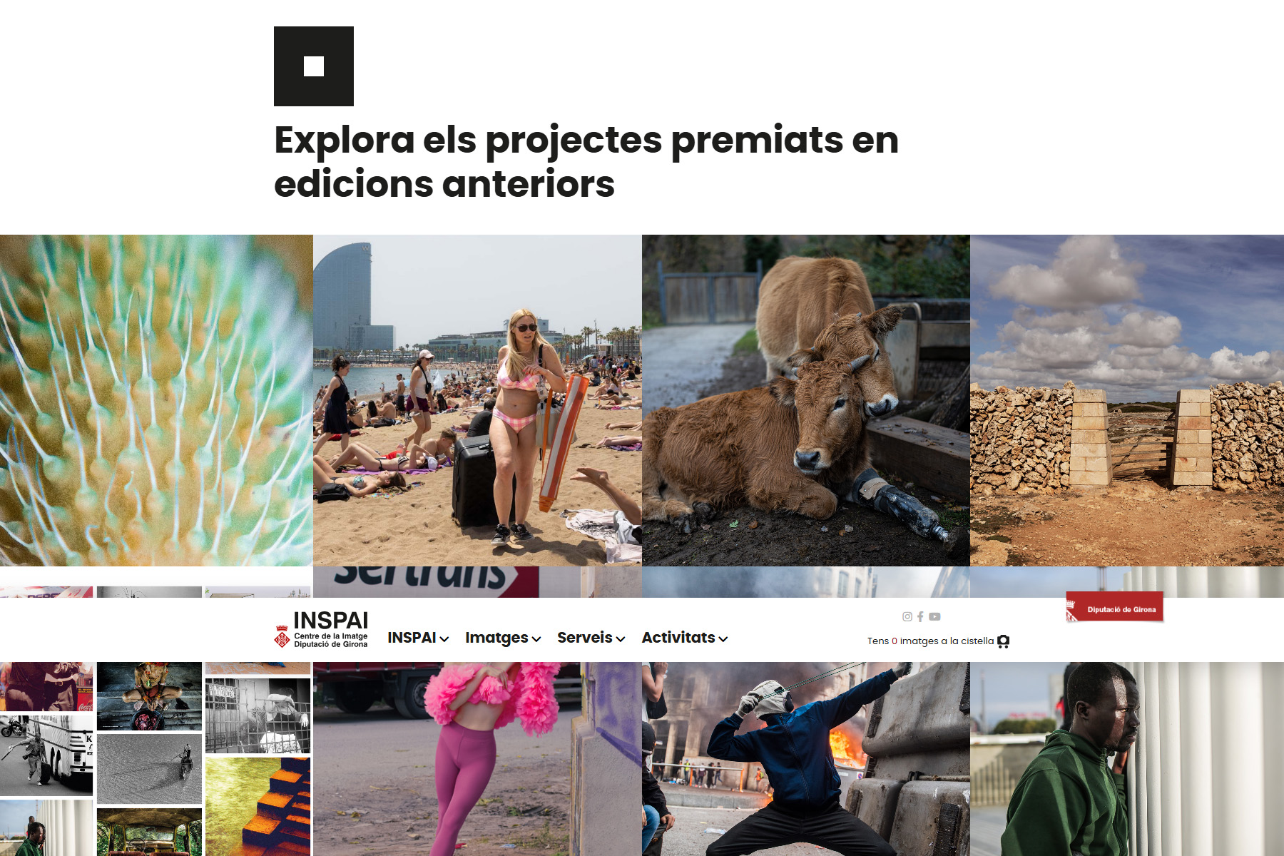 Foto Blog Destacat 2