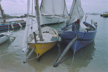  V Trobada de barques aparellades amb vela llatina a Calella