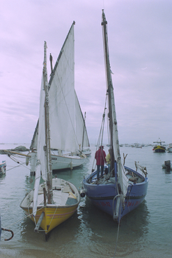  V Trobada de barques aparellades amb vela llatina a Calella