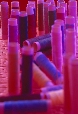 Agulles i bobines de fil de cosir