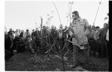 Acte de plantació d'un arbre
