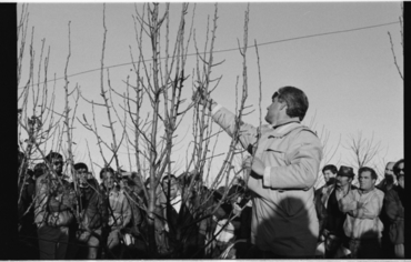 Acte de plantació d'un arbre