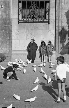 Viatge al sud d'Espanya