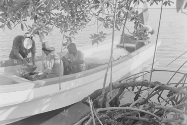 Feines pesqueres al litoral de la badia de Bluefieds