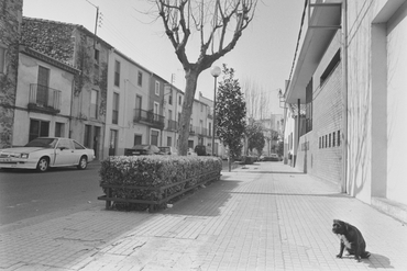  Hotel d'Entitats a Bescanó 