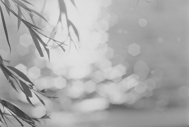 Animació al camping Riembau de Platja d'Aro