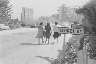  Concurs de Sardanes a l'estadi de Lloret de Mar