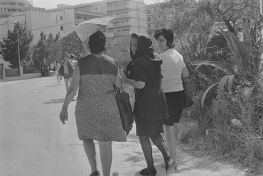  Concurs de Sardanes a l'estadi de Lloret de Mar