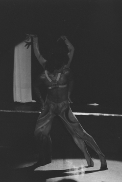  Espectacle ¿Super Star Show¿ de Ricardo Ferrante al New Flamingo de Platja d¿Aro