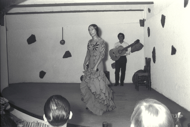 Espectacle de flamenc