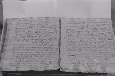 "El Manuscrit de Palau-saverdera"