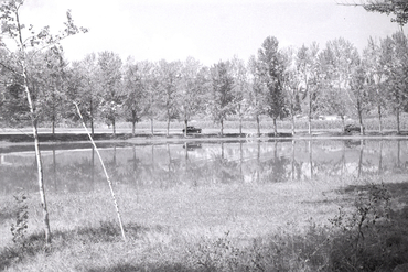 Dos cotxes circulant per la vora de l'estany