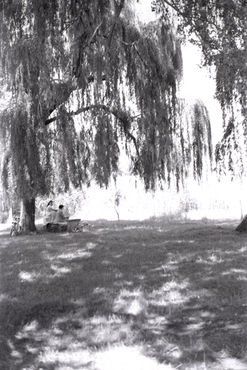 Nen i nena asseguts en un banc