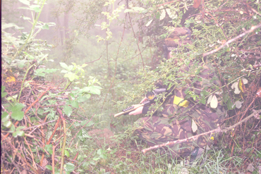 "Paintball", jocs de guerra, a Sant Hilari Sacalm