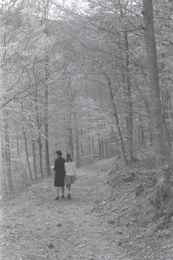 Anna Maurici Torrent i Marta Hugas Maurici pasejant per un bosc