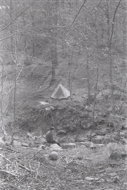 Emili Hugas Maurici al bosc