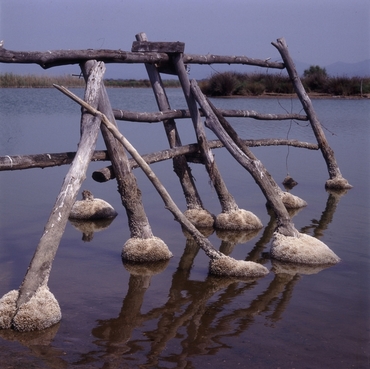 Aiguamolls de l'Empordà