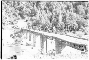 Pont de fusta sobre el riu Ter