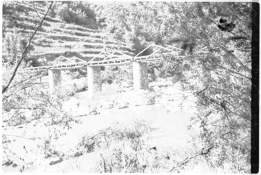 Pont de fusta sobre el riu Ter