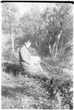 Castanyers del mas del Colobrant de Susqueda