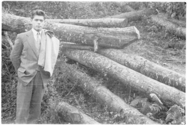 Castanyers del mas del Colobrant de Susqueda