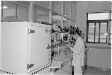 Laboratori de l'Antic Hospital de Santa Caterina