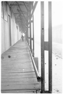 Porxo dels albergs provisionals de Domeny