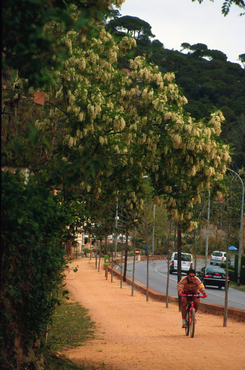Ruta del Carrilet Girona-Sant Feliu de Guíxols