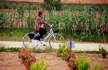 Ruta del Carrilet Girona - Sant Feliu de Guíxols