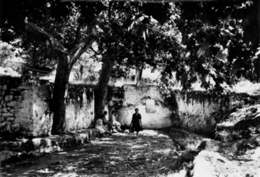 Font de Dalt de Palau-Saverdera