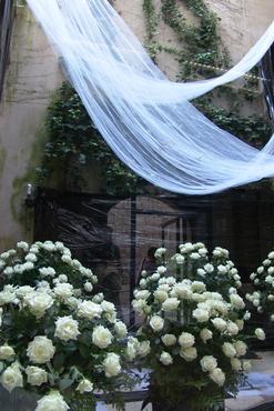 Actuacions musicals i espectacles famililars al Pati Cultural de la Diputació de Girona en motiu de Temps de Flors: Cobla Amoga, Capella Polifònica, Orquestra de Cambra de l'Empordà, Jove Orquestra del Conservatori de Música de Girona, Païs de Xauxa, Quim Portet, Feliu Ventura, Singlot