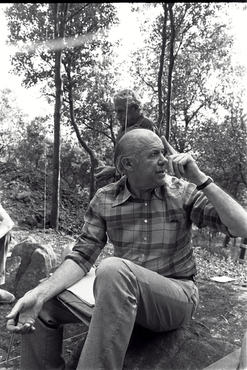 Excavació al Puig d'en Roca