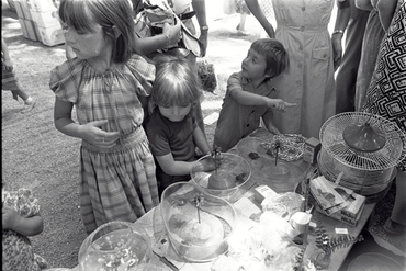 Mercat de La Devesa.