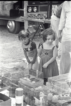 Mercat de La Devesa.
