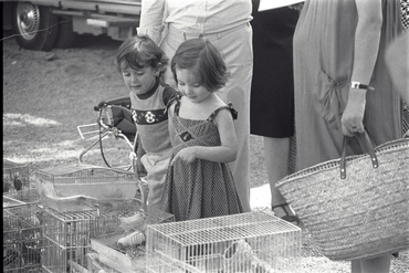 Mercat de La Devesa.