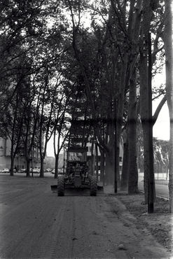 Aplanadora a la Devesa de Girona