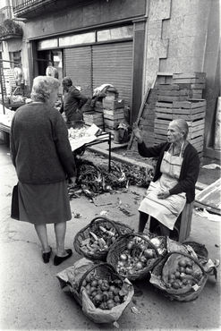 Venedora de verdures