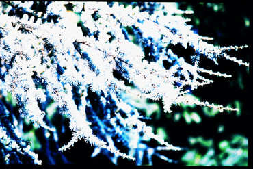 Edificis i monuments del barro Vell de Girona