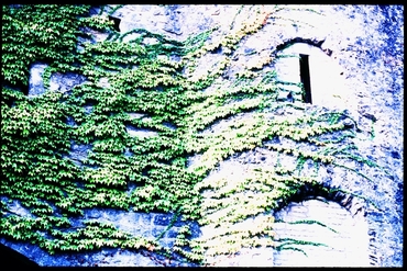 Edificis i monuments del barro Vell de Girona