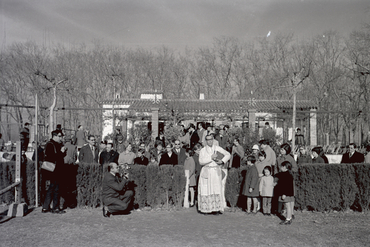 Concurs hípic al parc de la Devesa de Girona
