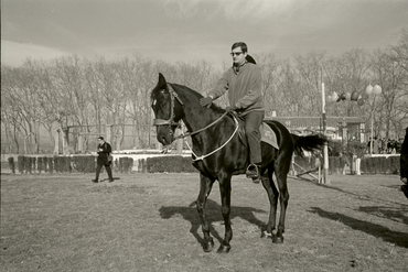 Concurs hípic al parc de la Devesa de Girona