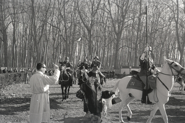 Concurs hípic al parc de la Devesa de Girona
