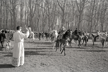 Concurs hípic al parc de la Devesa de Girona
